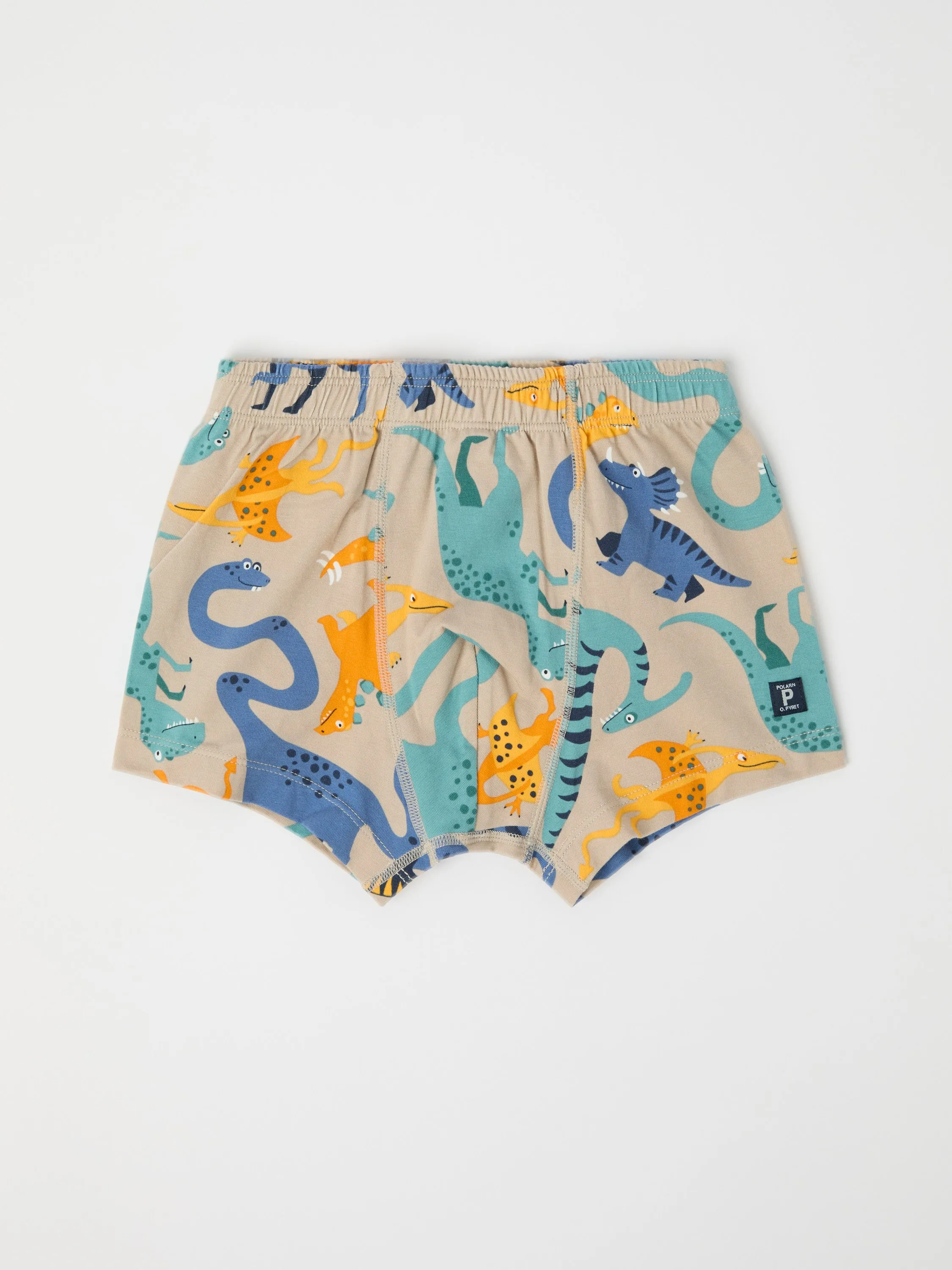 Boys Dinosaur Print Boxers