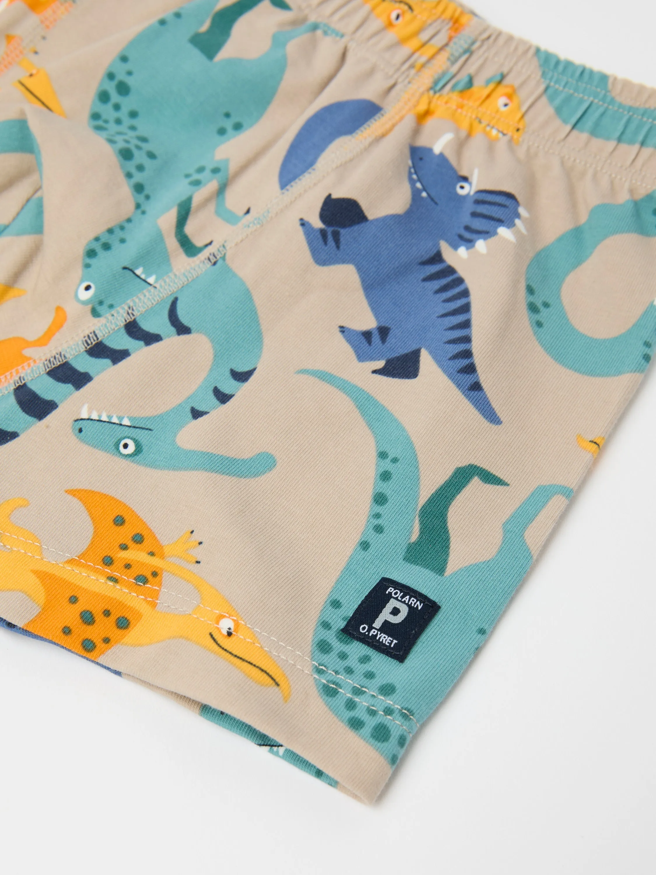 Boys Dinosaur Print Boxers