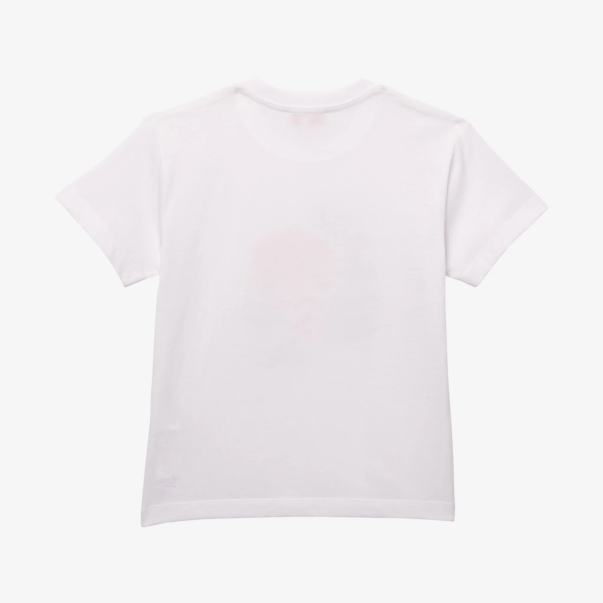 Boys' velvet flocked T-shirt