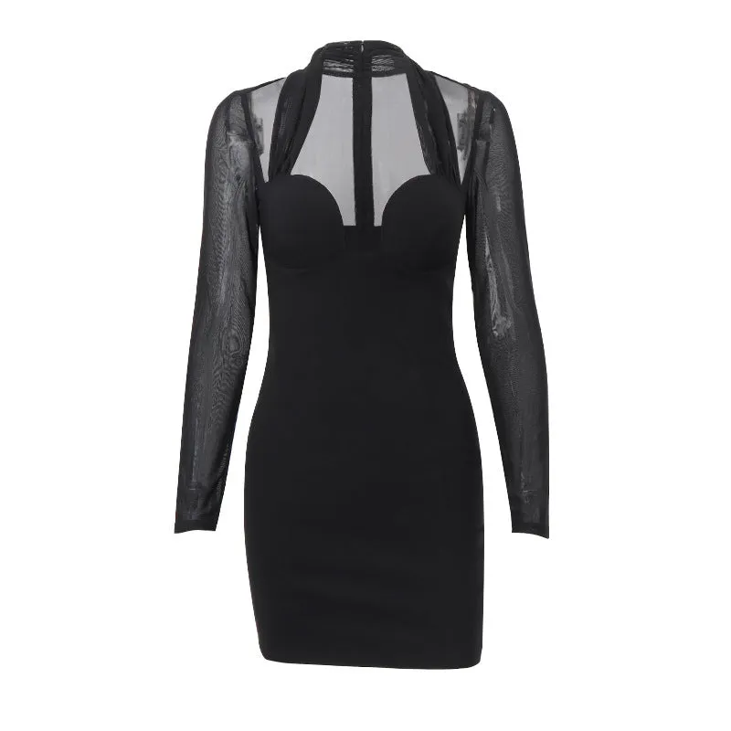 Elegant Mesh Long Sleeve Bodycon Dress