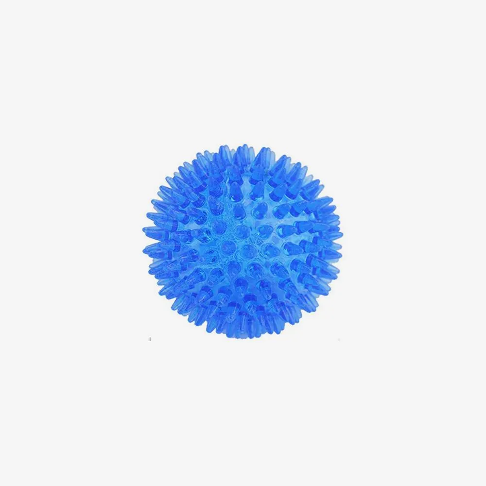 Pet Squeaky Chewing Balls