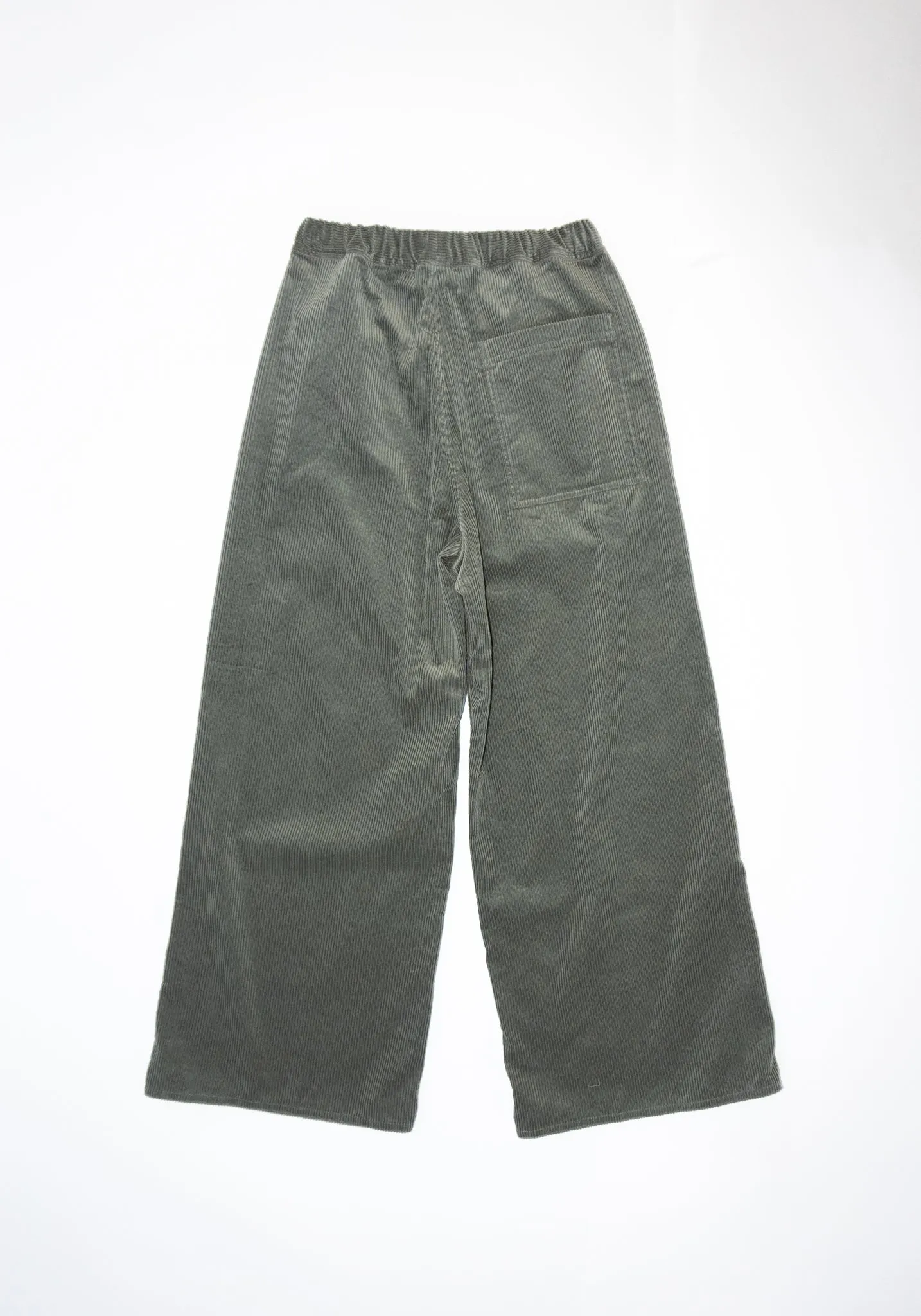 Pistis Corduroy Pant in Sage