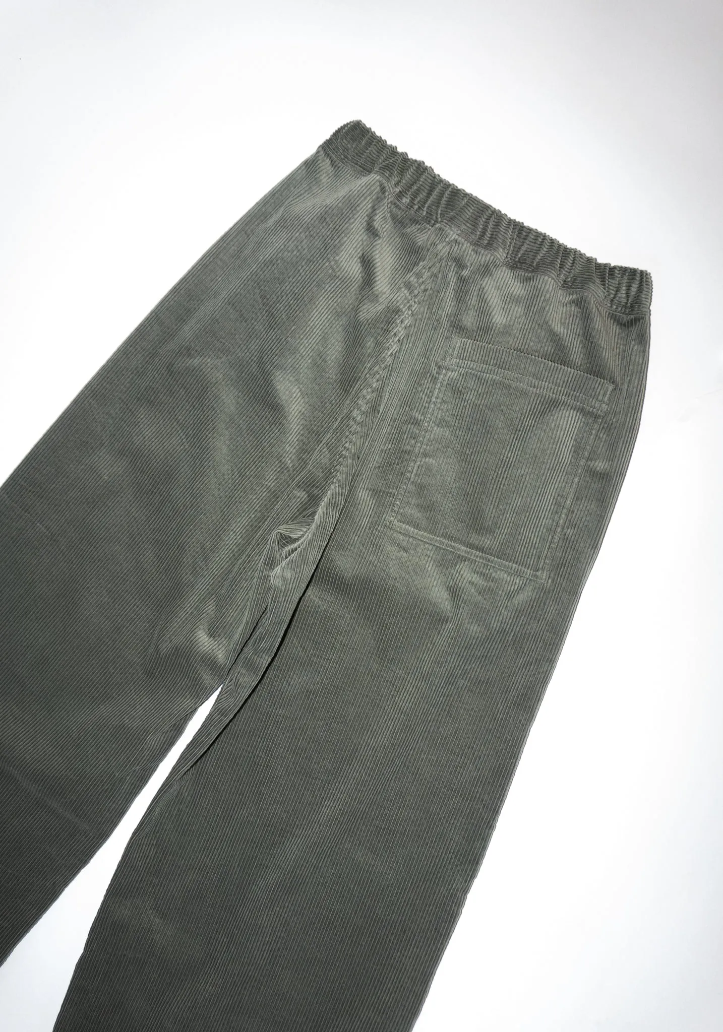 Pistis Corduroy Pant in Sage