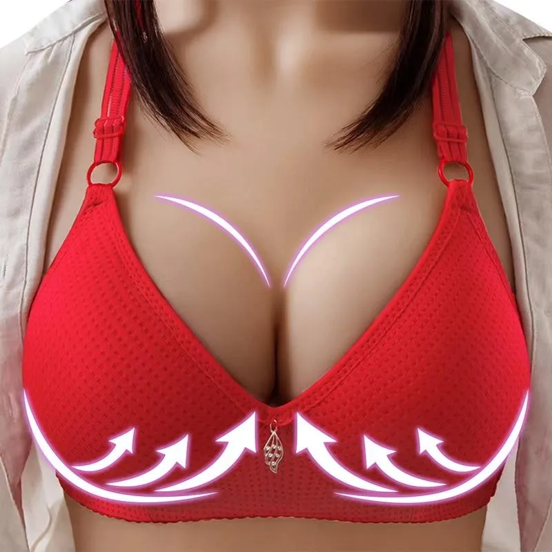 Underwear Simple Bra Ladies Sexy Underwear B C Cup